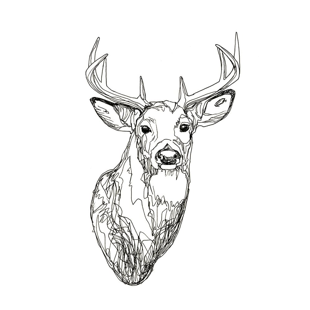 Whitetail Wireframe I Poster Print - Emma Scarvey-VARPDX140717GG Image 1