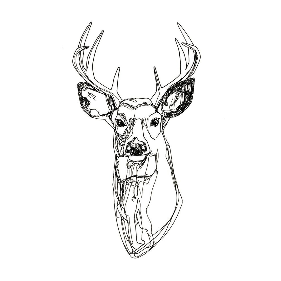 Whitetail Wireframe II Poster Print - Emma Scarvey-VARPDX140718GG Image 1