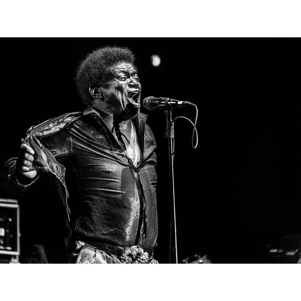 Charles Bradley In Memory Poster Print - Jois Domont-VARPDX1409282 Image 1