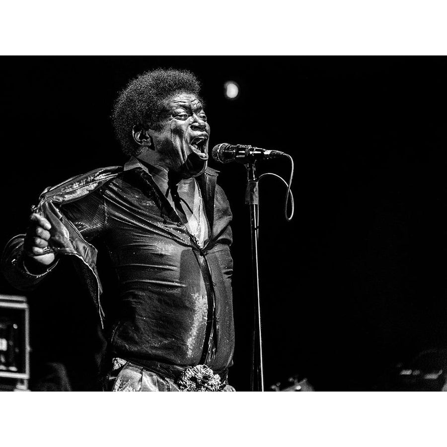 Charles Bradley In Memory Poster Print - Jois Domont-VARPDX1409282 Image 1