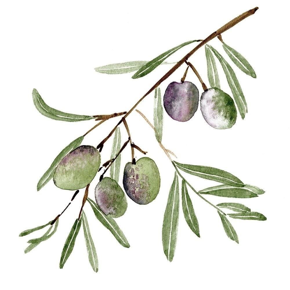 Olive Branch I Poster Print - Melissa Wang-VARPDX140964D Image 1