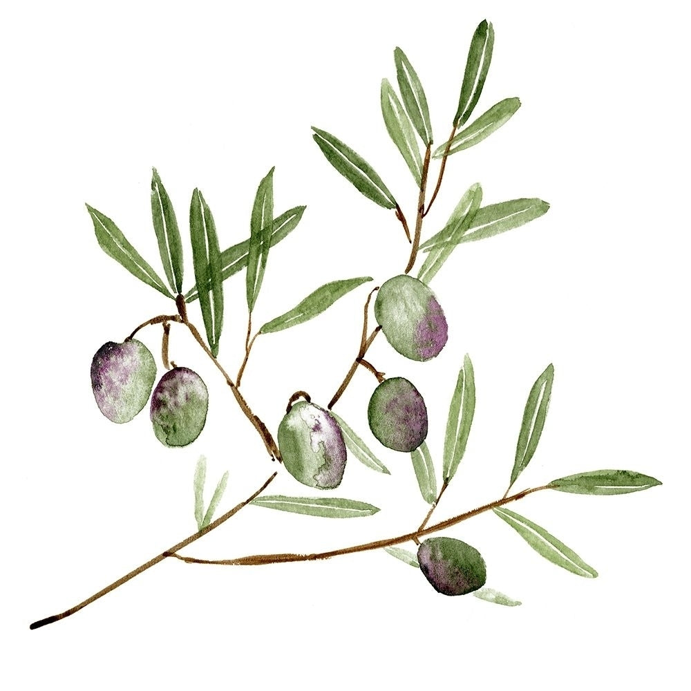 Olive Branch II Poster Print - Melissa Wang-VARPDX140965D Image 1