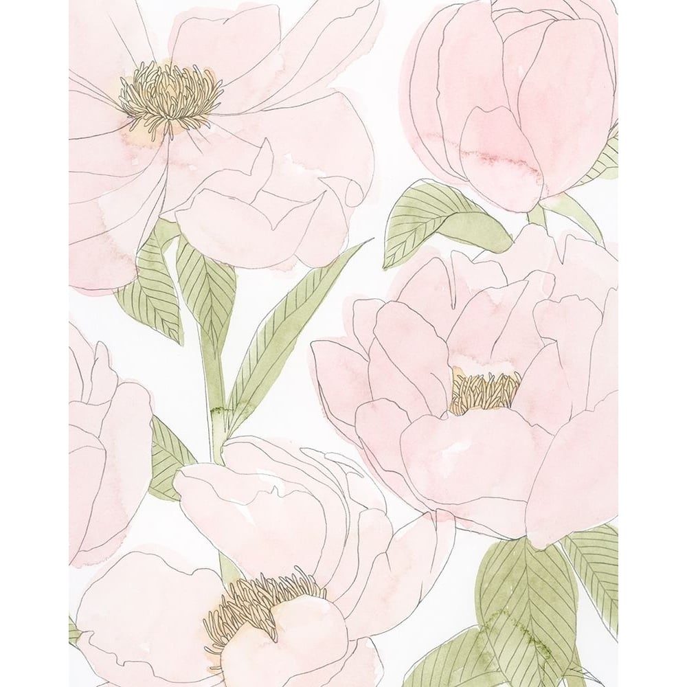 Veiled Peonies II Poster Print - Grace Popp-VARPDX140975GG Image 1