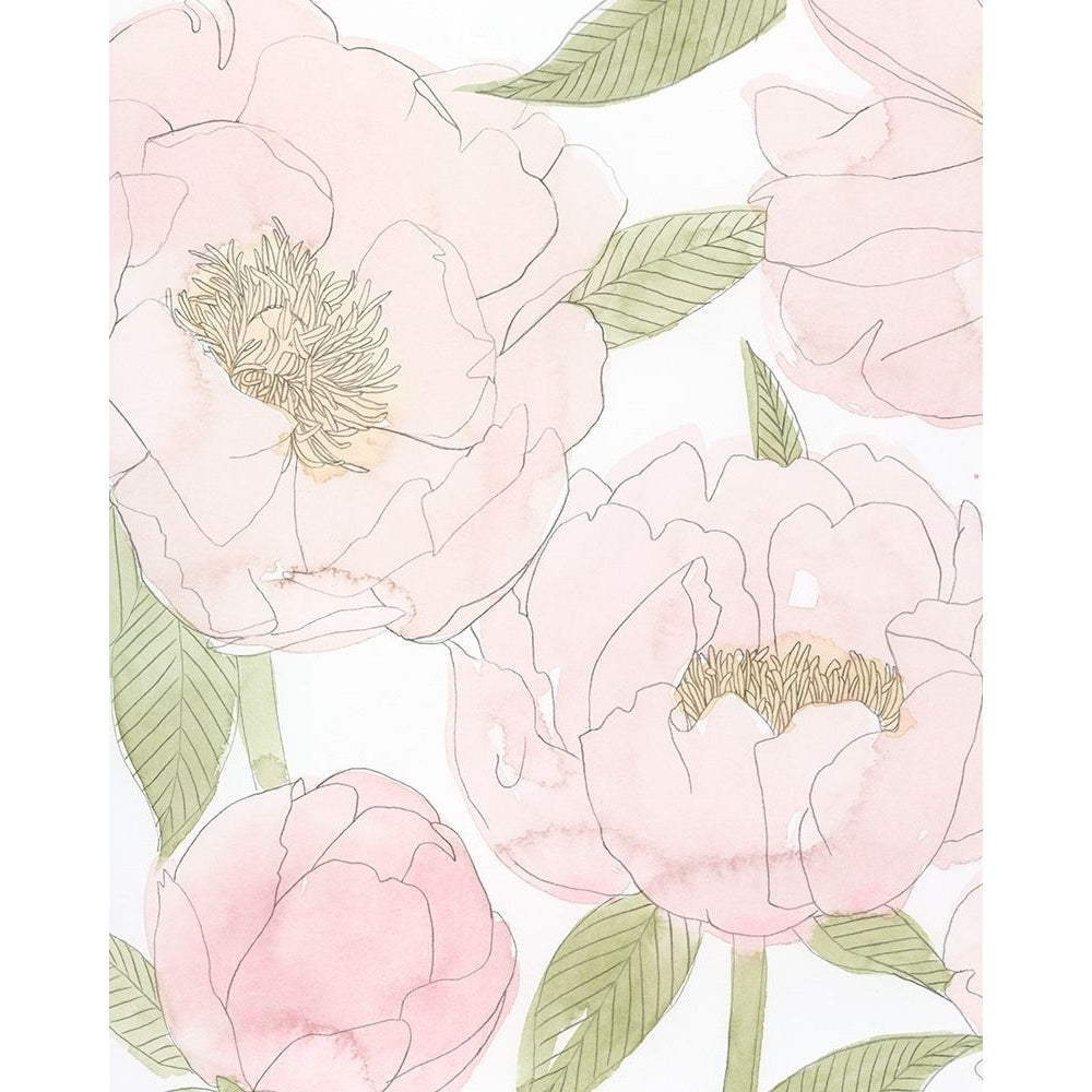 Veiled Peonies I Poster Print - Grace Popp-VARPDX140974GG Image 1