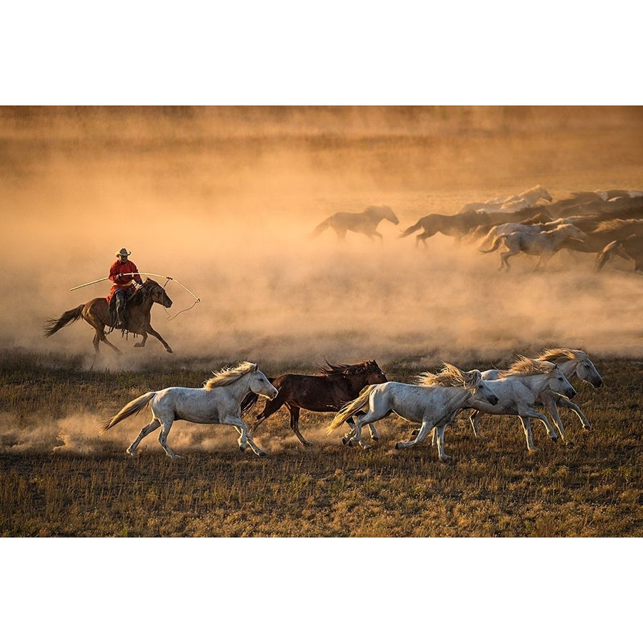 Mongolia Horses Poster Print - Libby Zhang-VARPDX1410519 Image 1