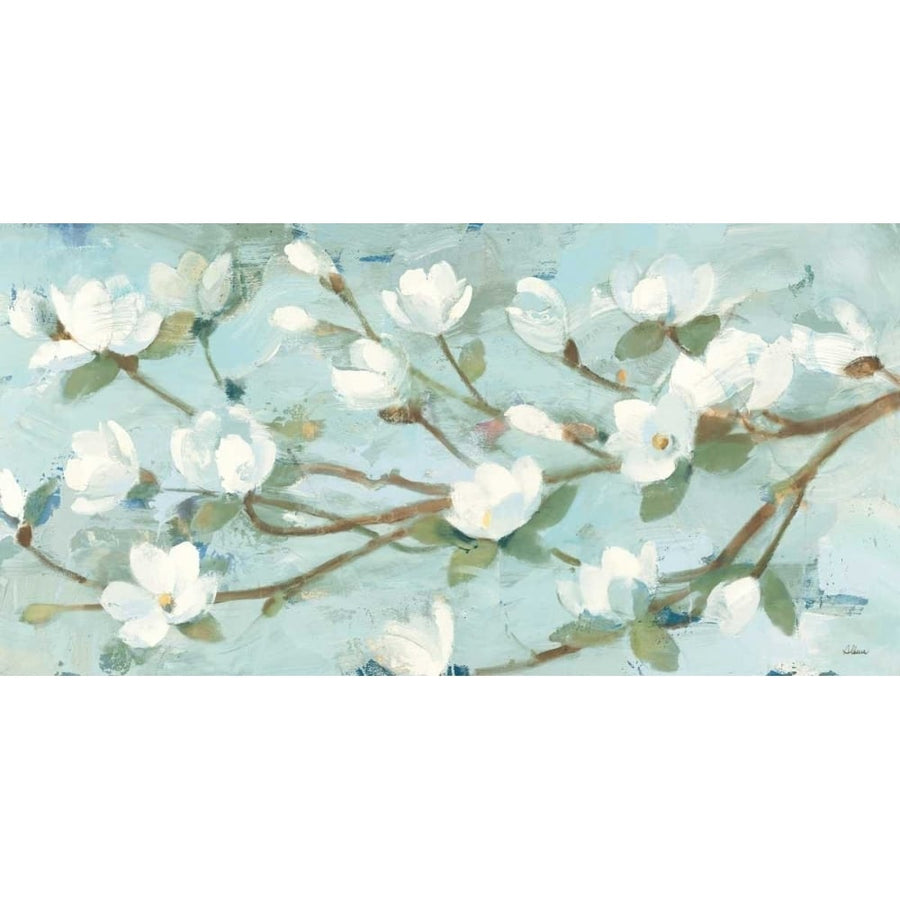 Magnolia Branch Poster Print by Albena Hristova-VARPDX14107 Image 1