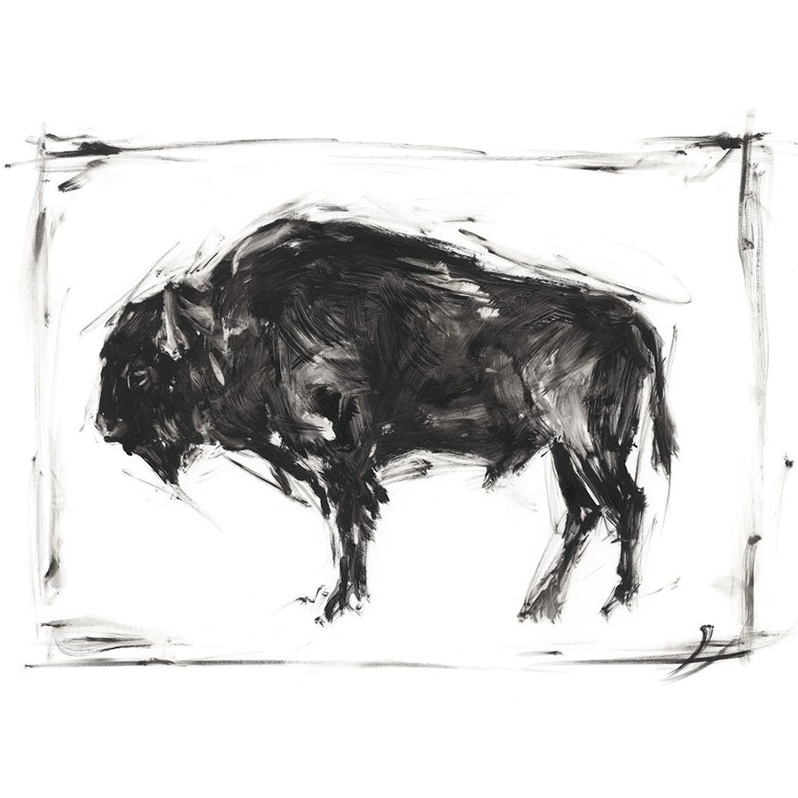 Dynamic Bison II Poster Print - Ethan Harper-VARPDX141361Z Image 1