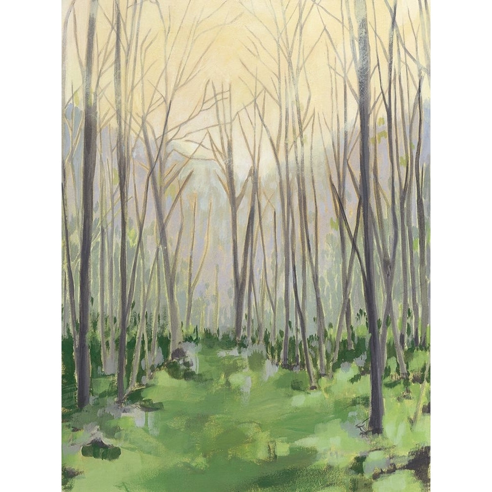 Custom Delicate Forest II Poster Print - Megan Meagher-VARPDX141520Z Image 1