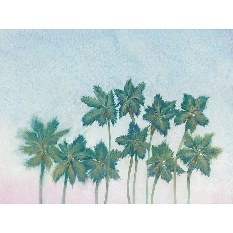 Palm Treeline I Poster Print - Tim OToole-VARPDX141614GG Image 1