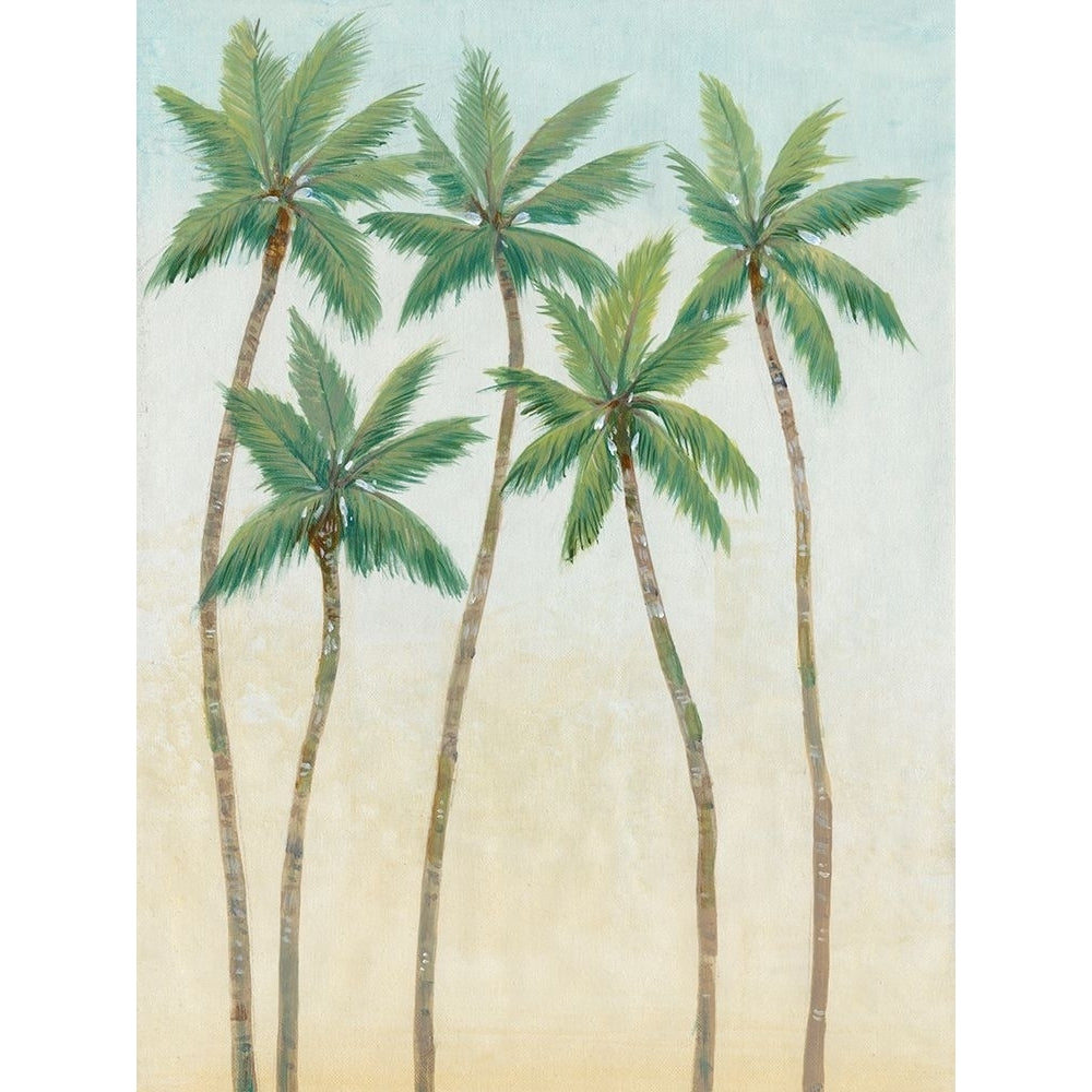 Palm Treeline III Poster Print - Tim OToole-VARPDX141616Z Image 1