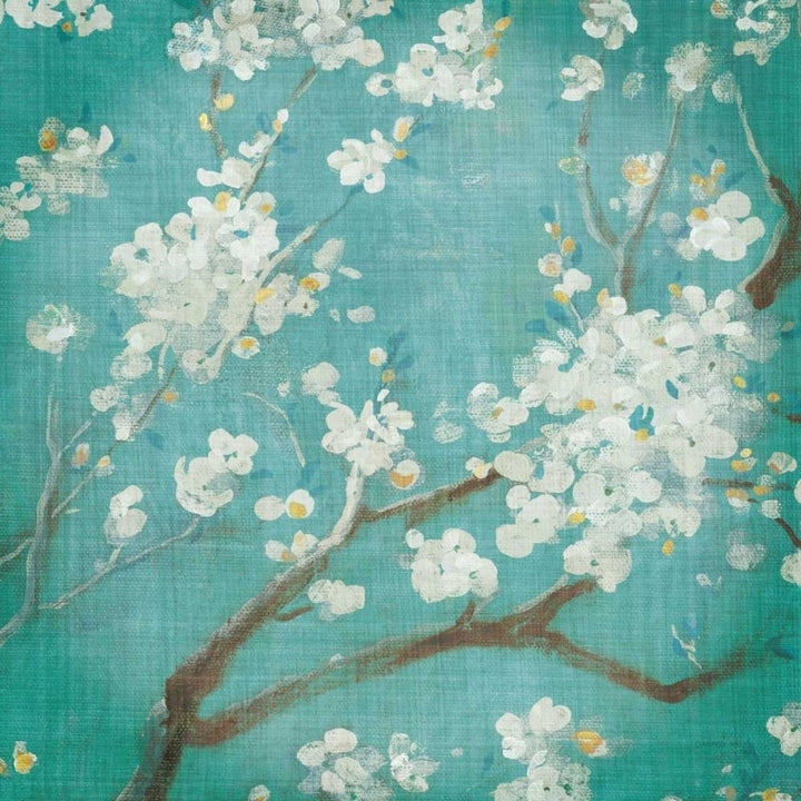 White Cherry Blossoms I Poster Print by Danhui Nai-VARPDX14189 Image 1