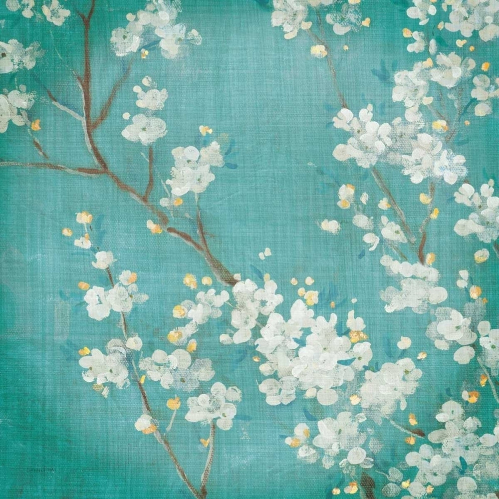 White Cherry Blossoms II Poster Print by Danhui Nai-VARPDX14190 Image 2