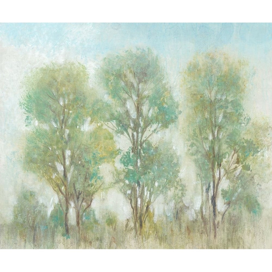 Muted Trees I Poster Print - Tim OToole-VARPDX141945GG Image 1