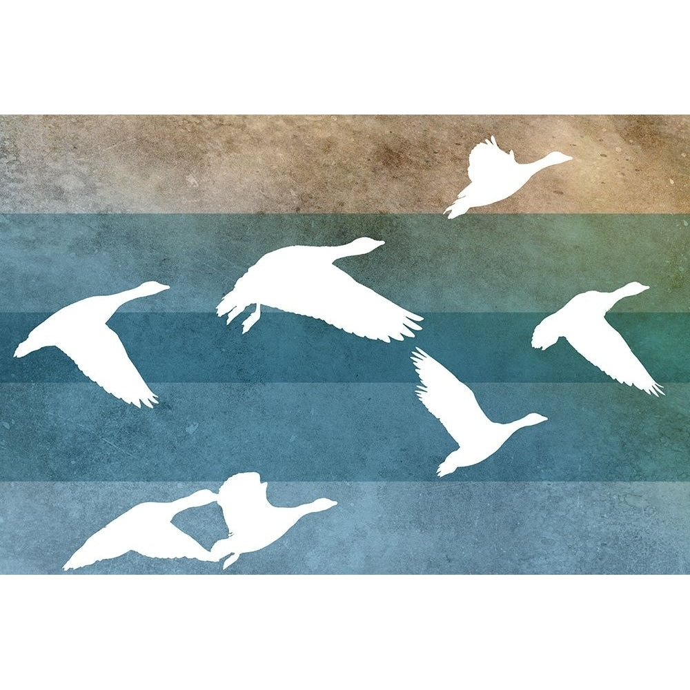 Flying Ducks II Poster Print - Dan Meneely-VARPDX14201K Image 1