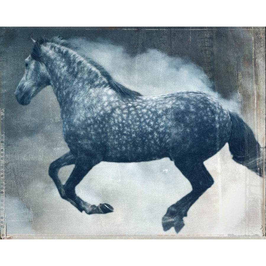 Horse Exposures III Poster Print - Susan Friedman-VARPDX142273GG Image 1