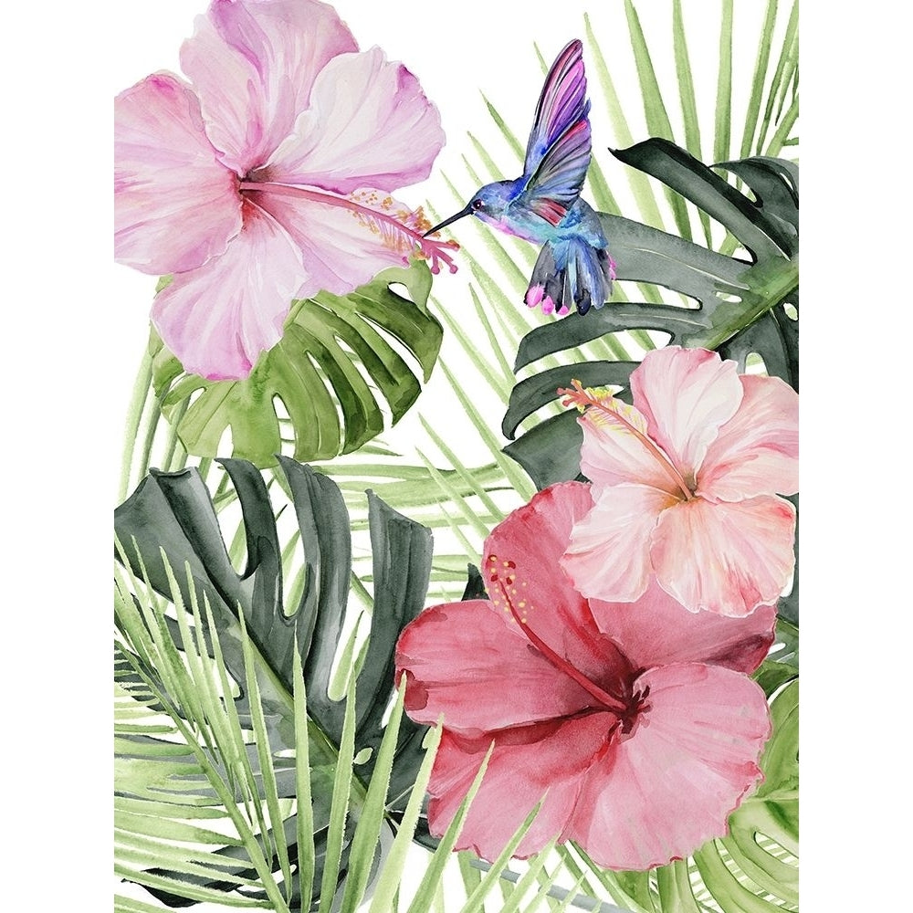 Hibiscus and Hummingbird I Poster Print - Jennifer Paxton Parker-VARPDX142378GG Image 1