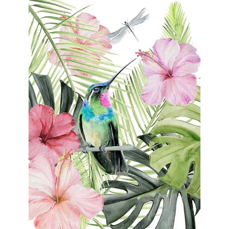 Hibiscus and Hummingbird II Poster Print - Jennifer Paxton Parker-VARPDX142379GG Image 1