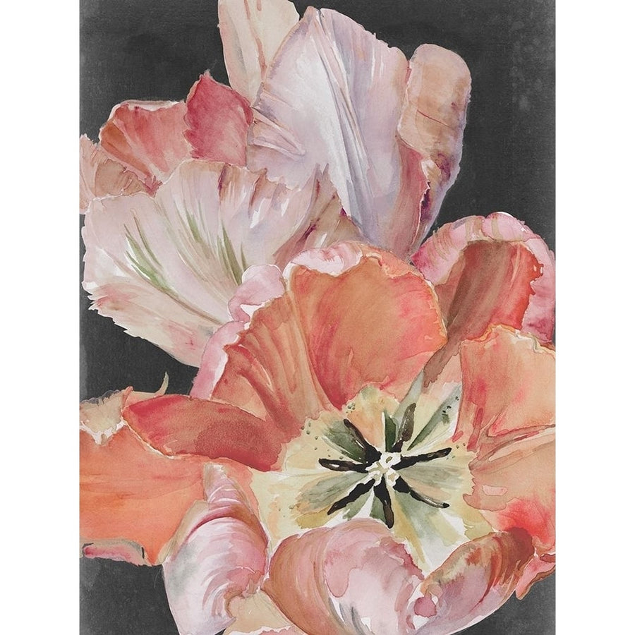 Pastel Parrot Tulips I Poster Print - Jennifer Paxton Parker-VARPDX142602GG Image 1