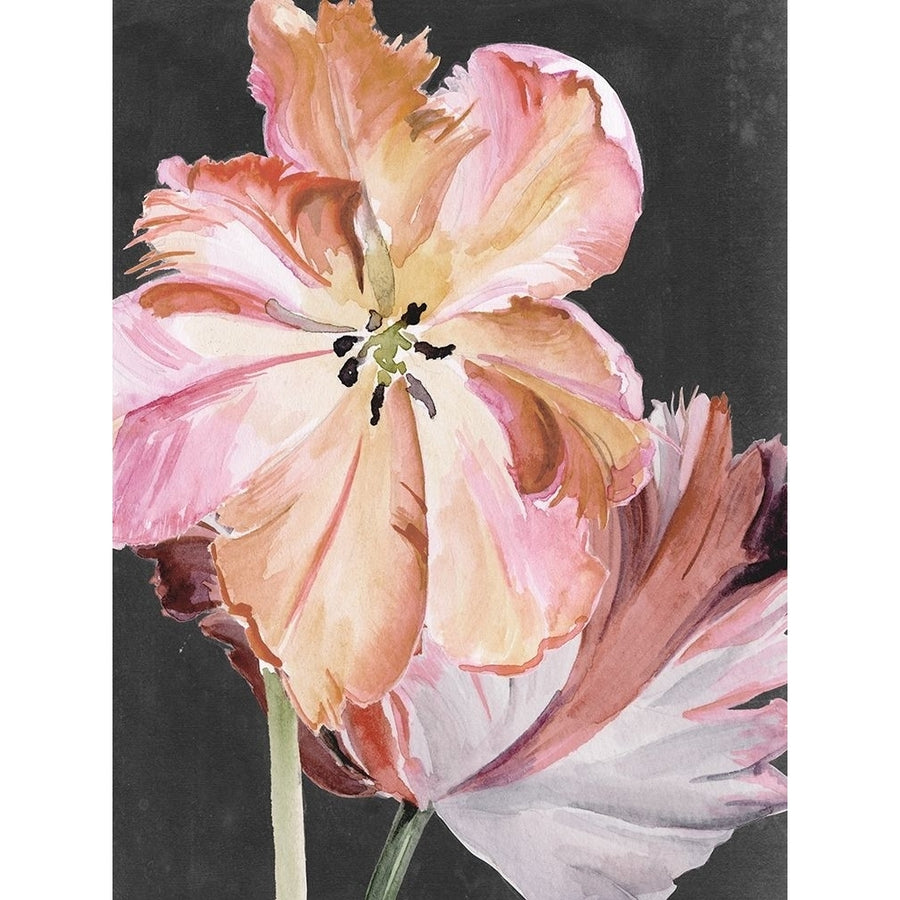 Pastel Parrot Tulips II Poster Print - Jennifer Paxton Parker-VARPDX142603GG Image 1