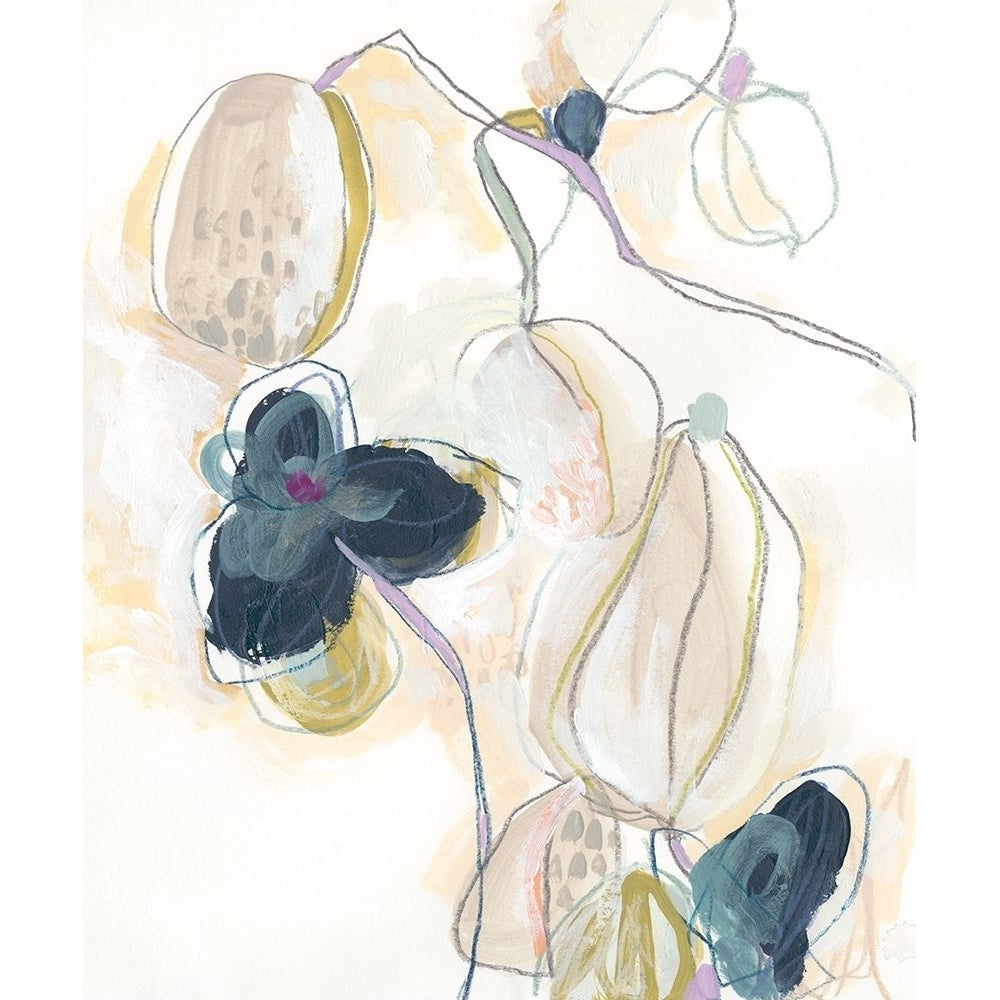 Abstracted Orchid II Poster Print - June Erica Vess-VARPDX142638FN Image 1