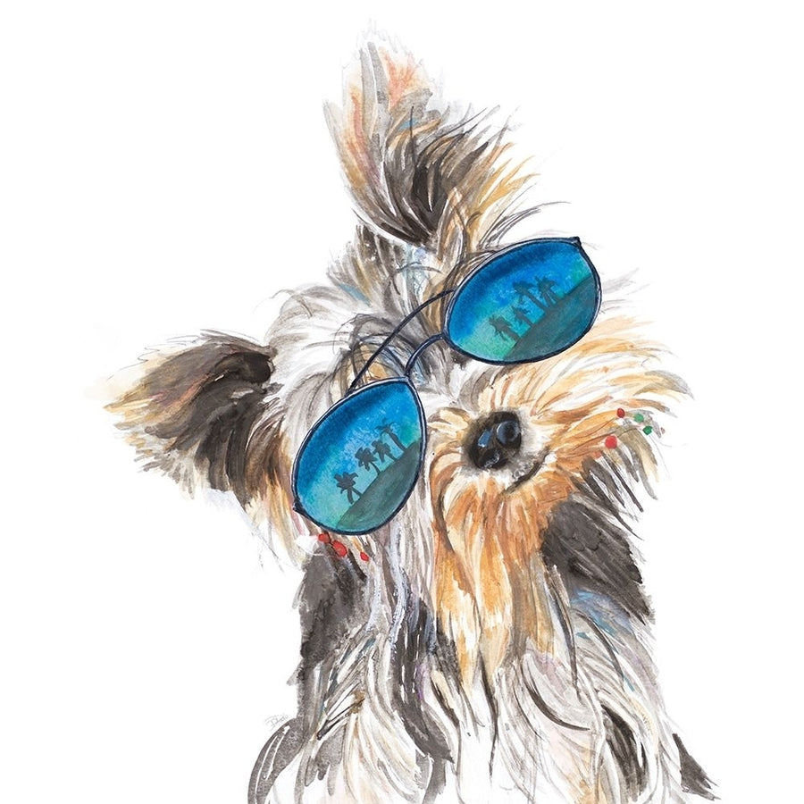 Yorkie with Shades Poster Print by Patricia Pinto-VARPDX14269L Image 1