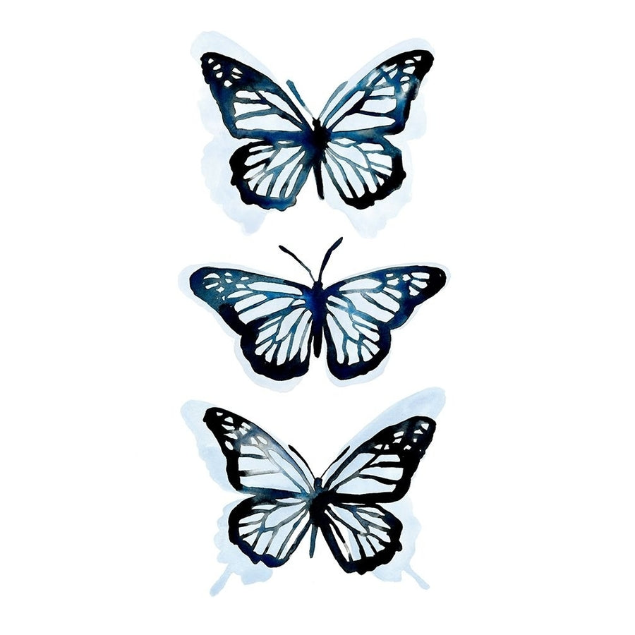 Blue Butterfly Trio I Poster Print - Emma Scarvey-VARPDX142846D Image 1