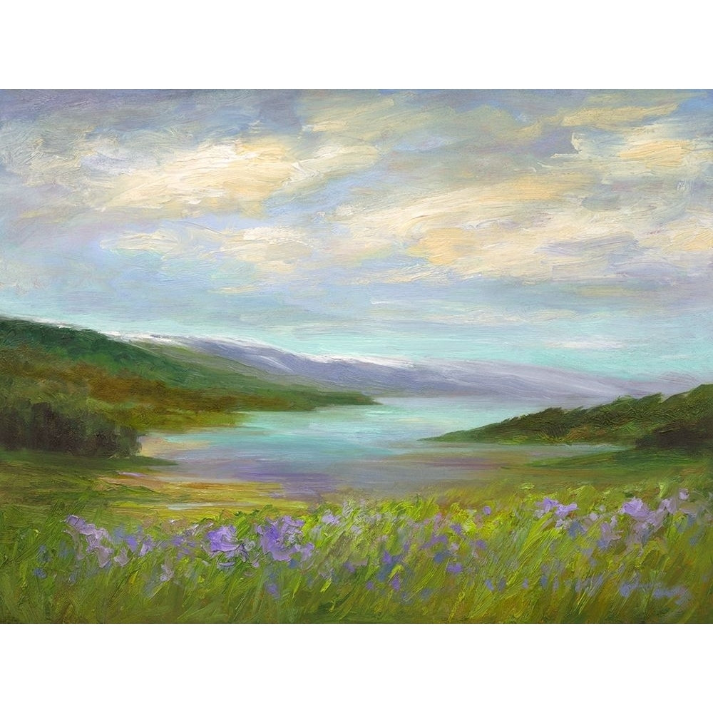 Crystal Springs Vista Poster Print - Sheila Finch-VARPDX142880FN Image 1