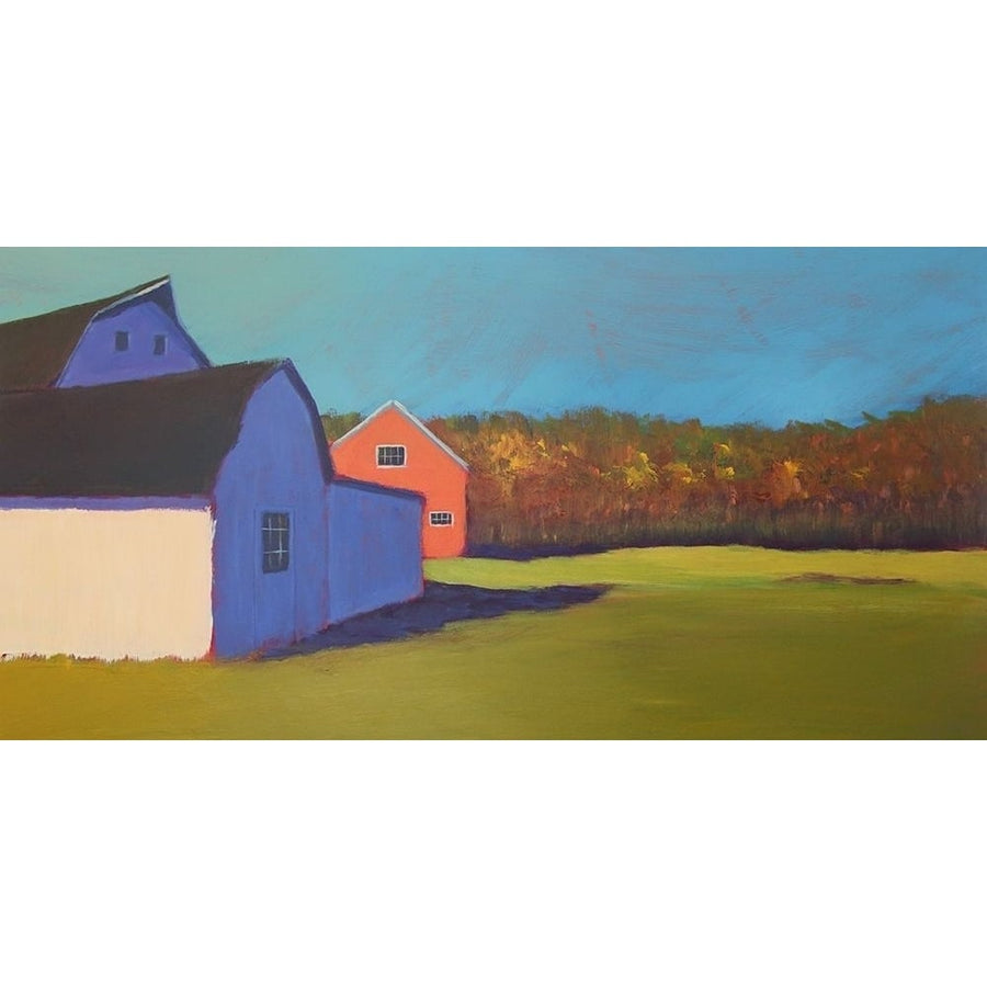 Primary Barns VIII Poster Print - Carol Young-VARPDX143064GG Image 1