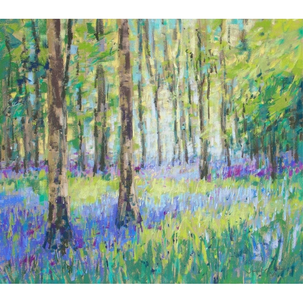 Bluebell Woods Poster Print - Jennifer Gardner-VARPDX143303Z Image 1