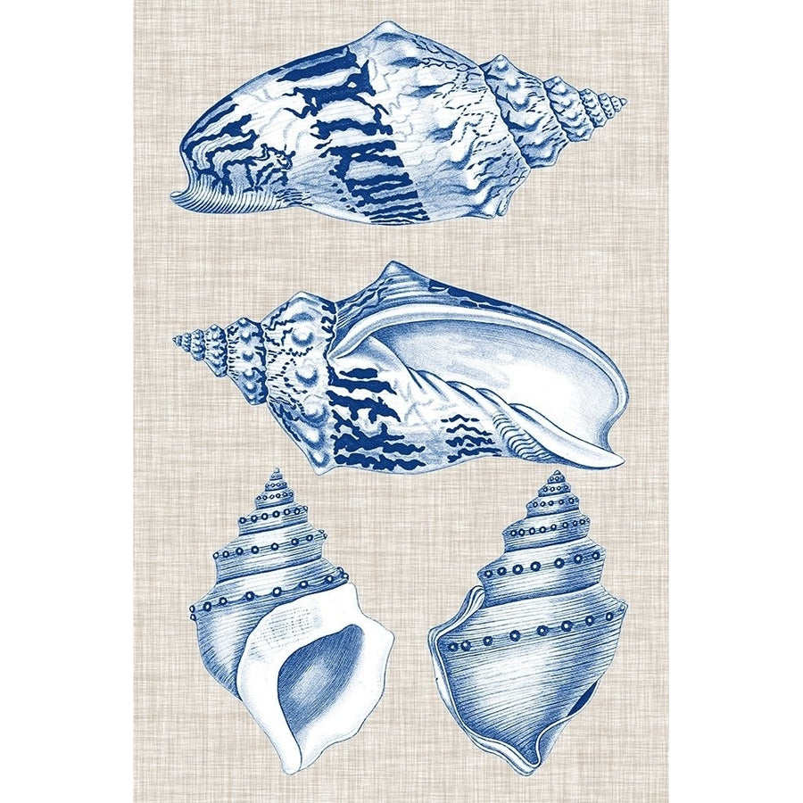 Navy and Linen Shells II Poster Print - Studio Vision-VARPDX143461Z Image 1