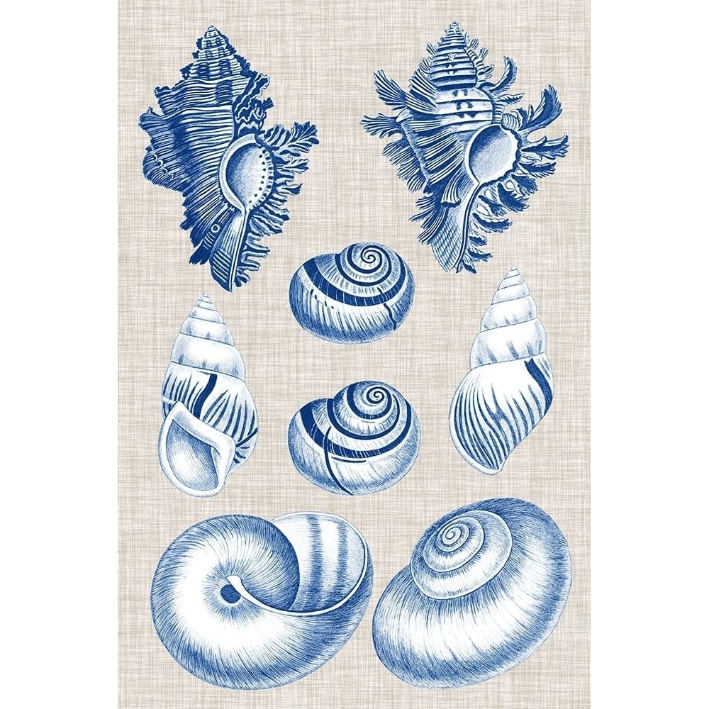 Navy and Linen Shells IV Poster Print - Studio Vision-VARPDX143463Z Image 1