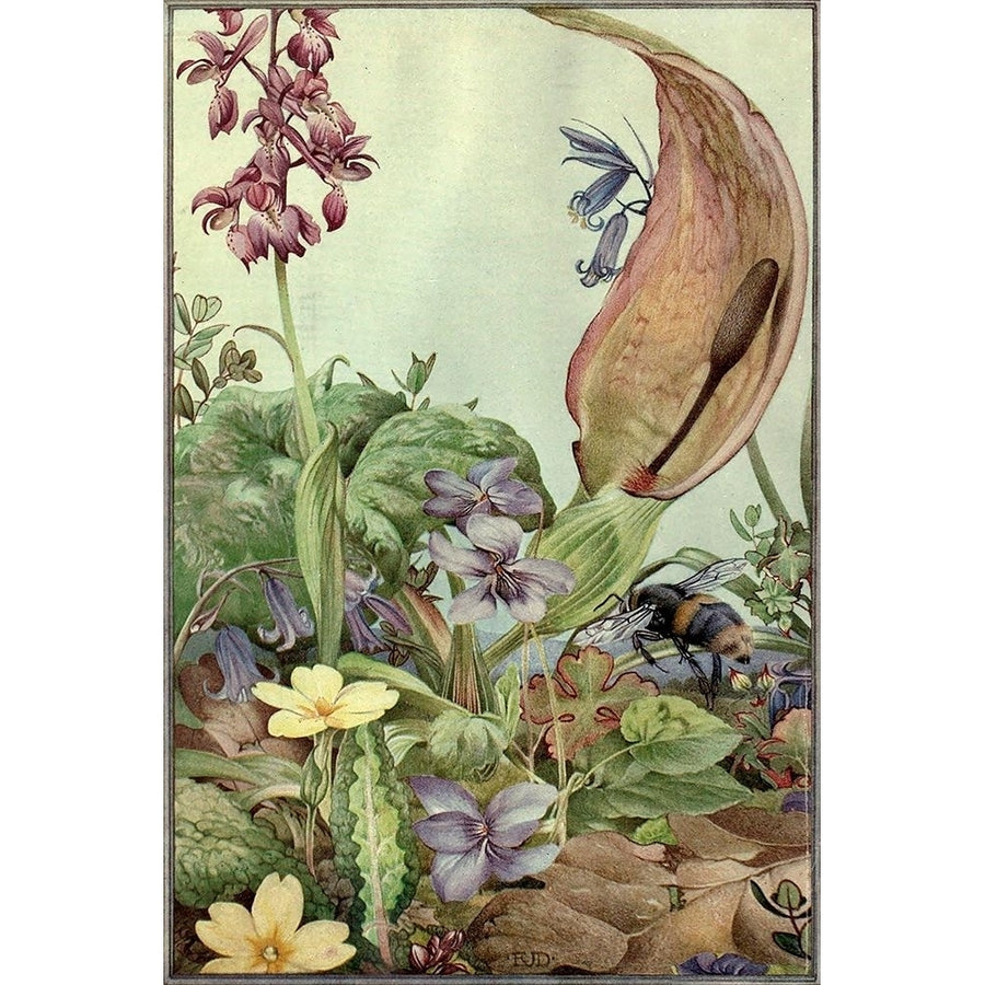 Garden Fantasy II Poster Print - Unknown-VARPDX143467Z Image 1