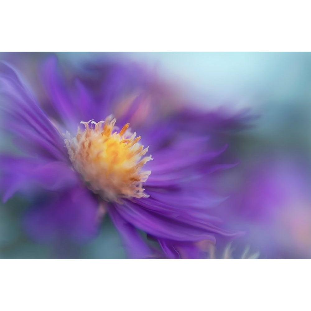 Gold and Purple in the Mist III Poster Print - Gillian Hunt-VARPDX143516Z Image 1