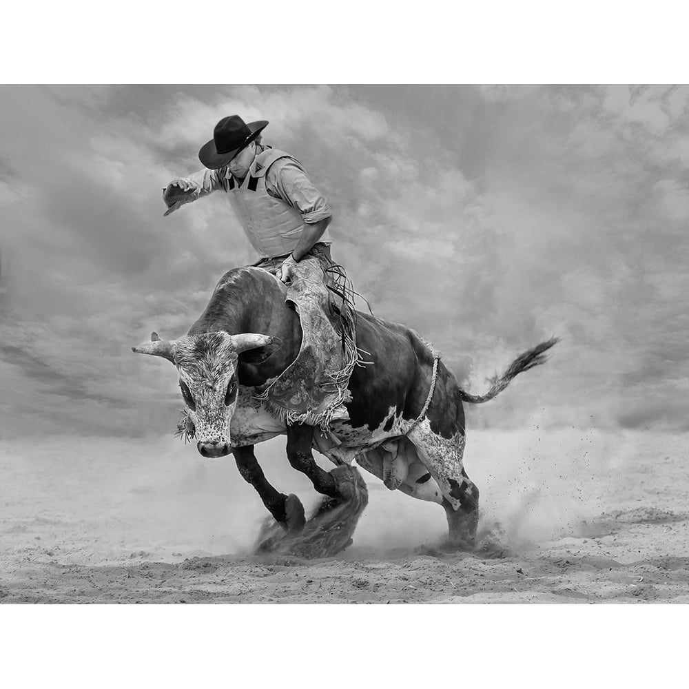 Ram Rodeo Poster Print - Yun Wang-VARPDX1436416 Image 1