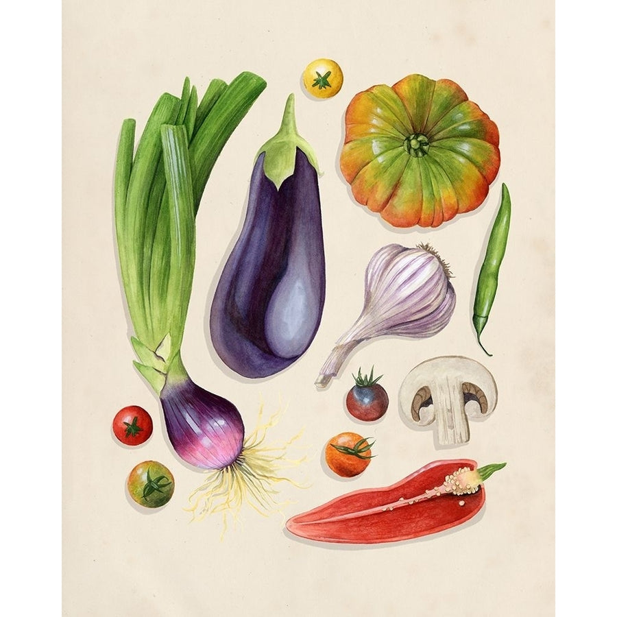 Vegetable Garden I Poster Print - Grace Popp-VARPDX143756Z Image 1