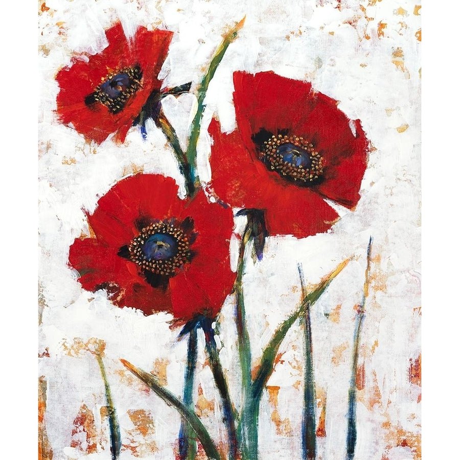 Red Poppy Fresco I Poster Print - Tim OToole-VARPDX143842FN Image 1