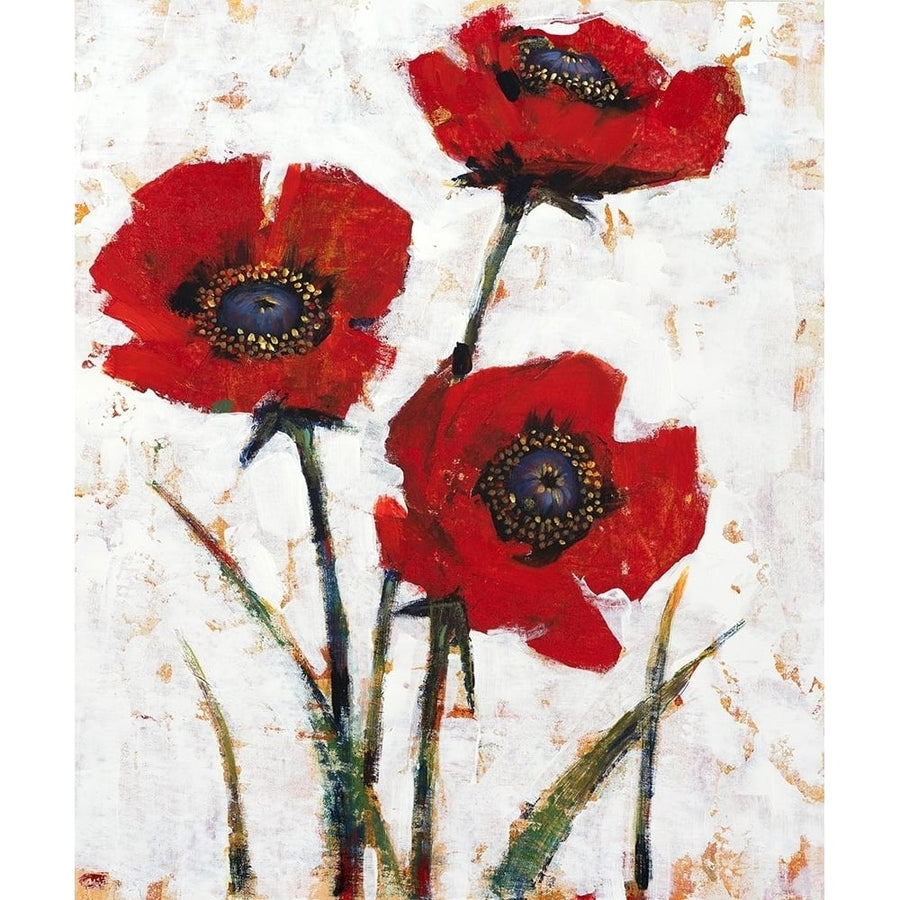 Red Poppy Fresco II Poster Print - Tim OToole-VARPDX143843FN Image 1