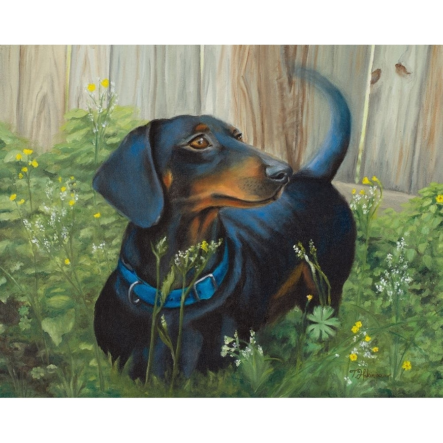 Dachshund by Tiffany Hakimipour-VARPDX14385 Image 1