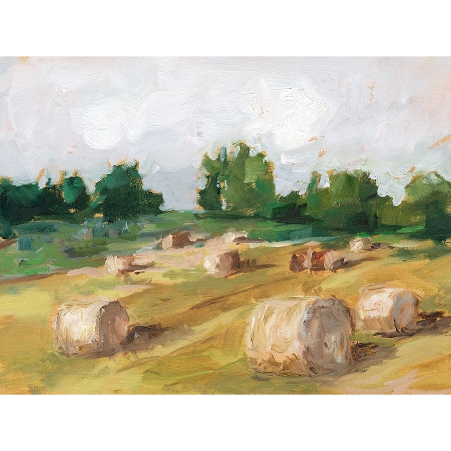 Hay Field I Poster Print - Ethan Harper-VARPDX144188Z Image 1