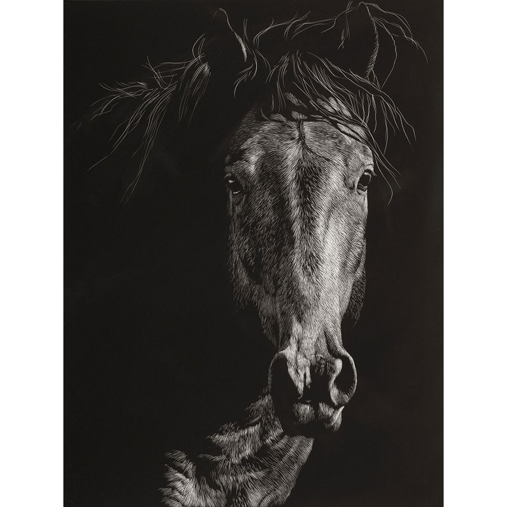 Wild Scratchboard VI Poster Print - Julie T. Chapman-VARPDX144311GG Image 1