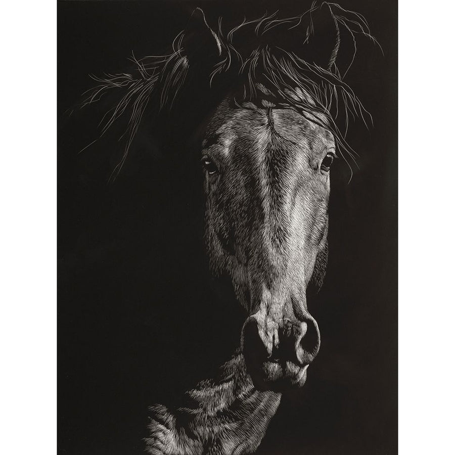 Wild Scratchboard VI Poster Print - Julie T. Chapman-VARPDX144311GG Image 1