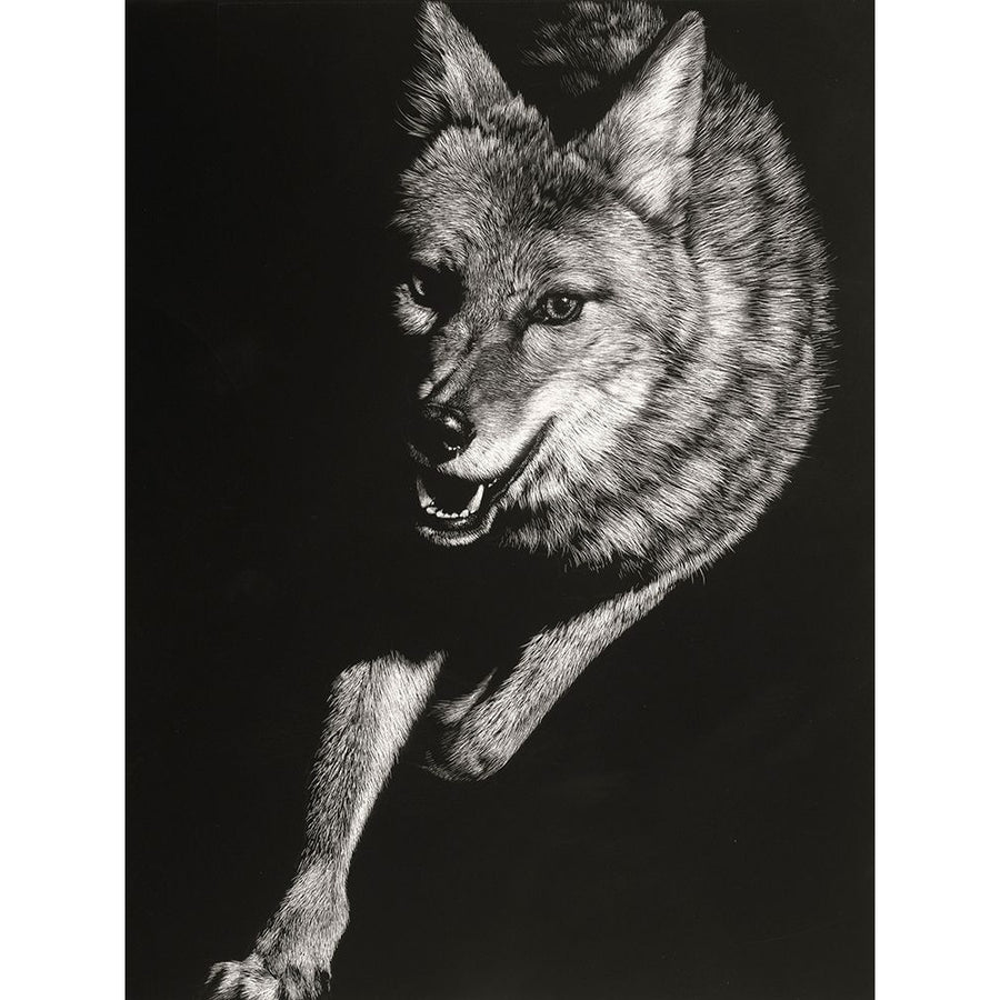 Wild Scratchboard V Poster Print - Julie T. Chapman-VARPDX144310GG Image 1