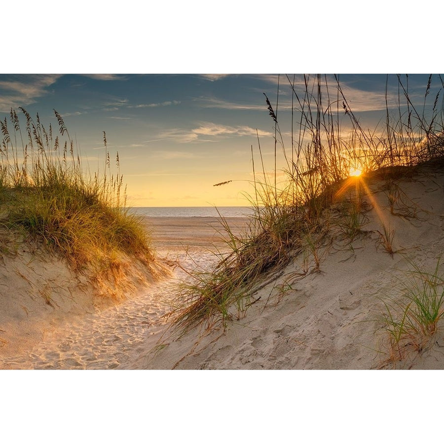 Coastal Dunes Poster Print by Andy Amos-VARPDX14432G Image 1