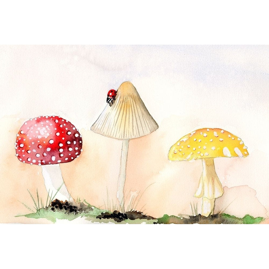 Faerie Mushrooms I Poster Print - Alicia Ludwig-VARPDX144330D Image 1