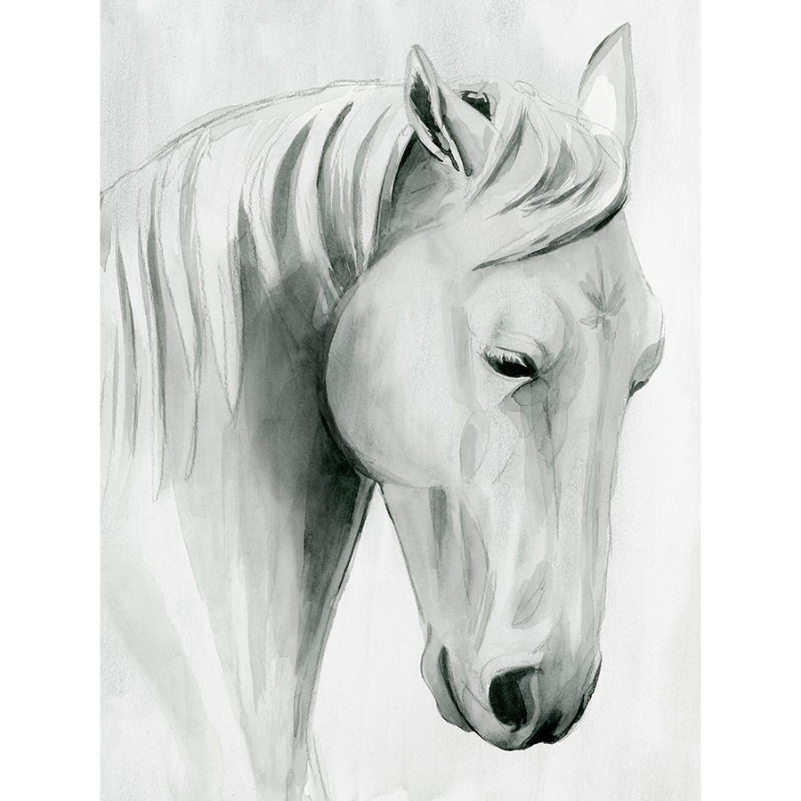 Horse Whisper II Poster Print - Grace Popp-VARPDX144385Z Image 1