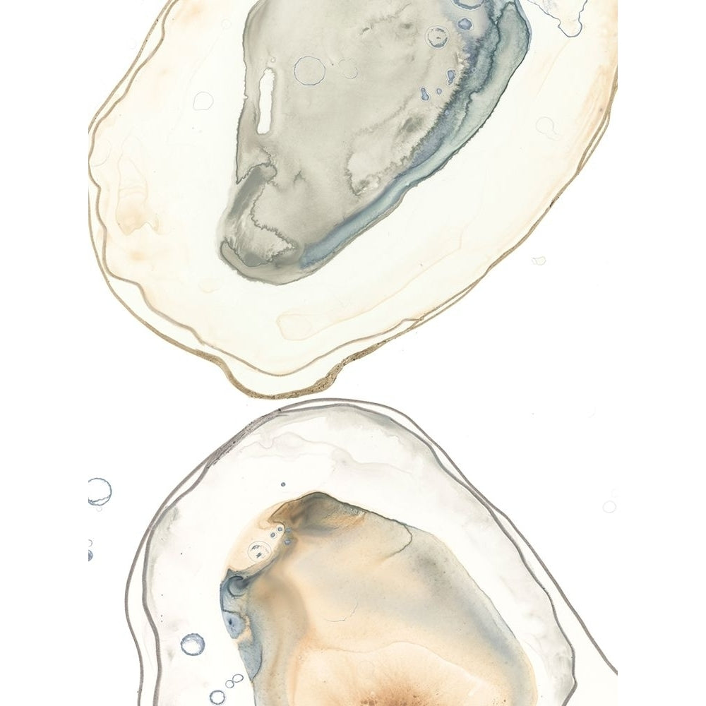 Ocean Oysters II Poster Print - June Erica Vess-VARPDX144468Z Image 1