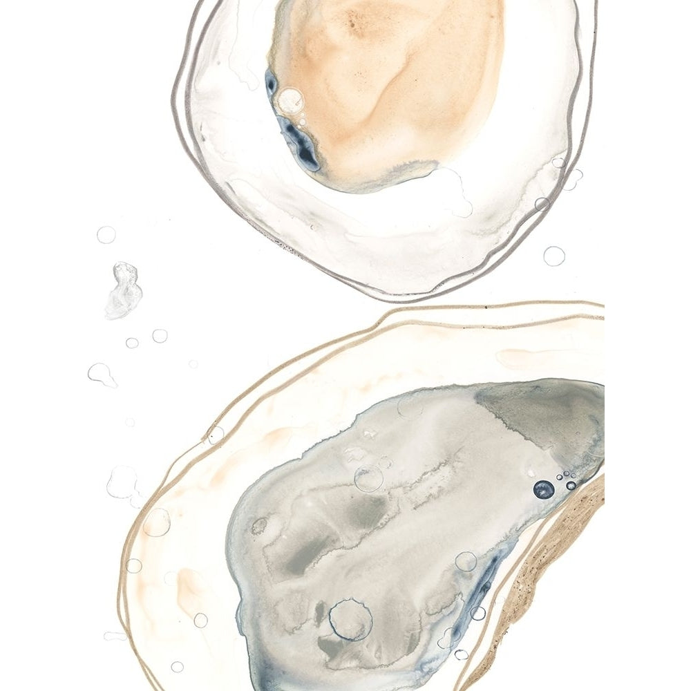 Ocean Oysters I Poster Print - June Erica Vess-VARPDX144467Z Image 1