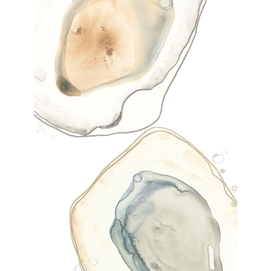 Ocean Oysters III Poster Print - June Erica Vess-VARPDX144469Z Image 1