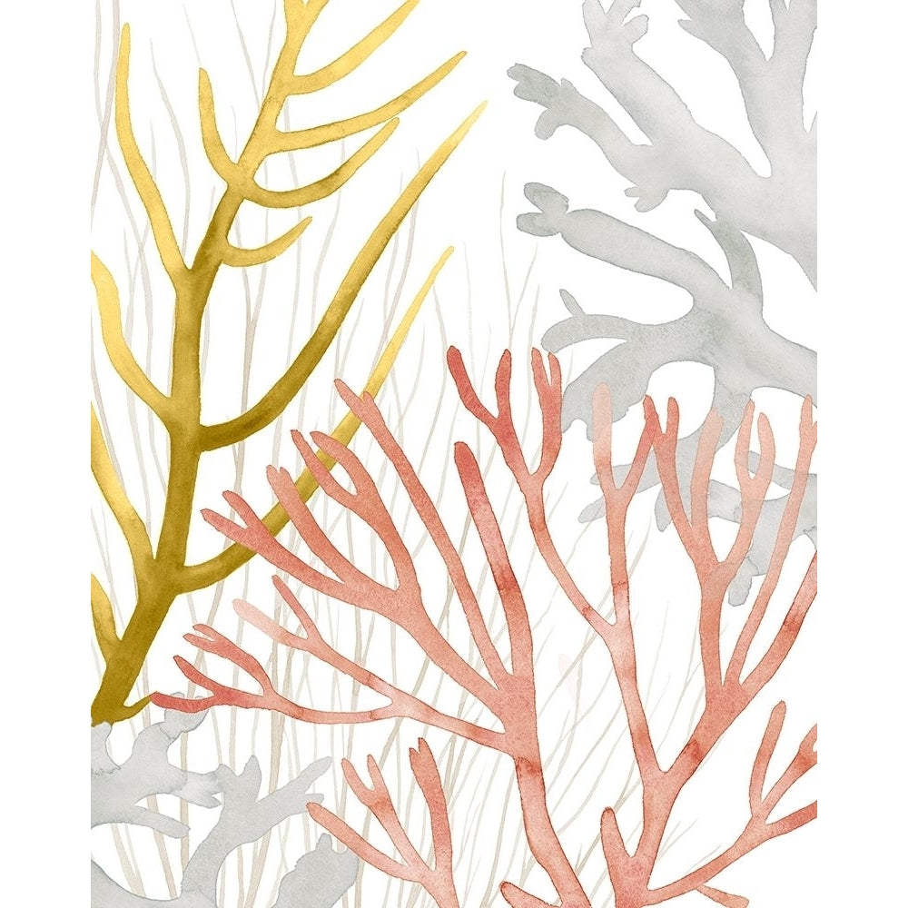 Desert Coral II Poster Print - Grace Popp-VARPDX144466Z Image 1