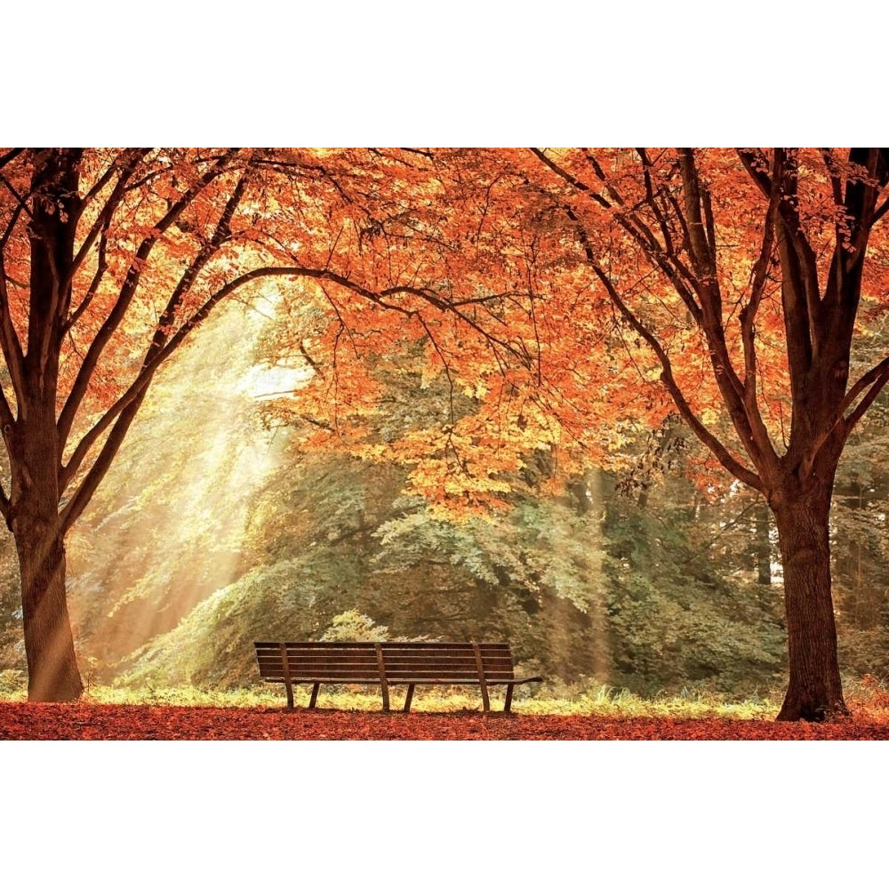 Sun Never Set Poster Print by Lars Van de Goor-VARPDX14449 Image 1